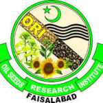 Oil Seeds Research Institute