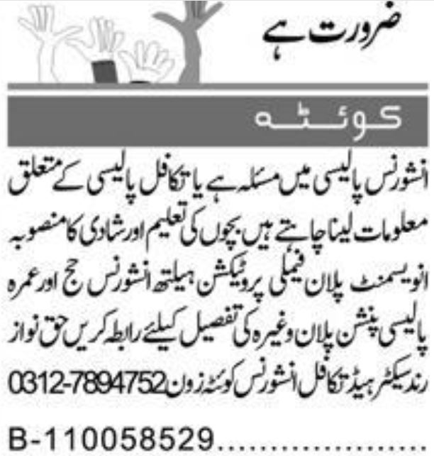 Jobs at Quetta Insurance Company in 2024